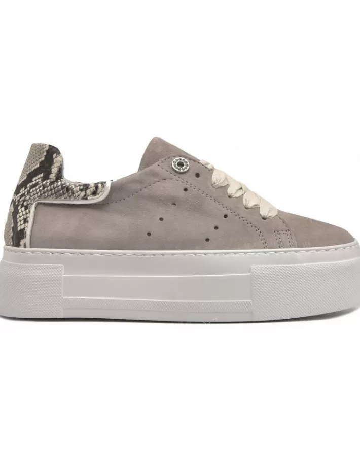 Alpe First | Mujer Sneakers Casual